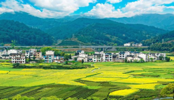 香之谷：创新农旅发展，打造多元化沉香产业链