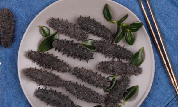 冬至进补季，海参消费升级暗战：干参、即食、鲜炖，谁才是你的“本命参”？