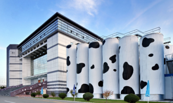 蒙牛携子公司斩获全国文明单位称号，文明建设取得显著提升